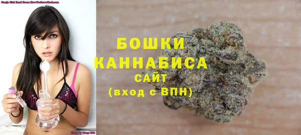 apvp Горнозаводск