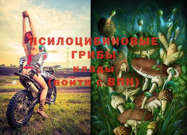 apvp Горнозаводск