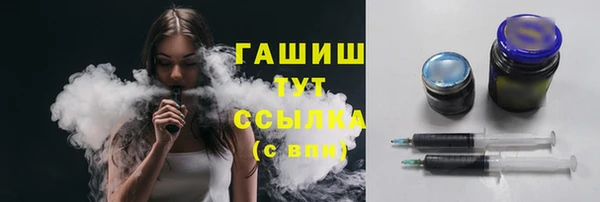 эйфоретик Заполярный