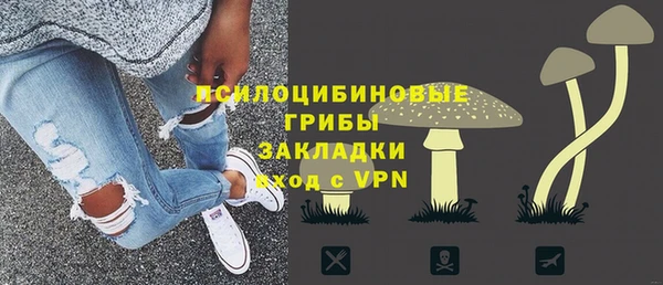 героин Заречный